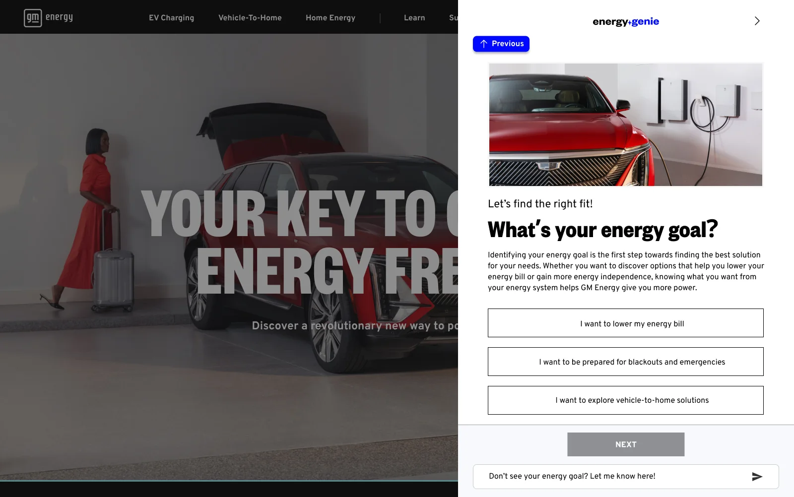 Genie 2.0 guided path — an energy-goal question with three choices and a free-text field beneath