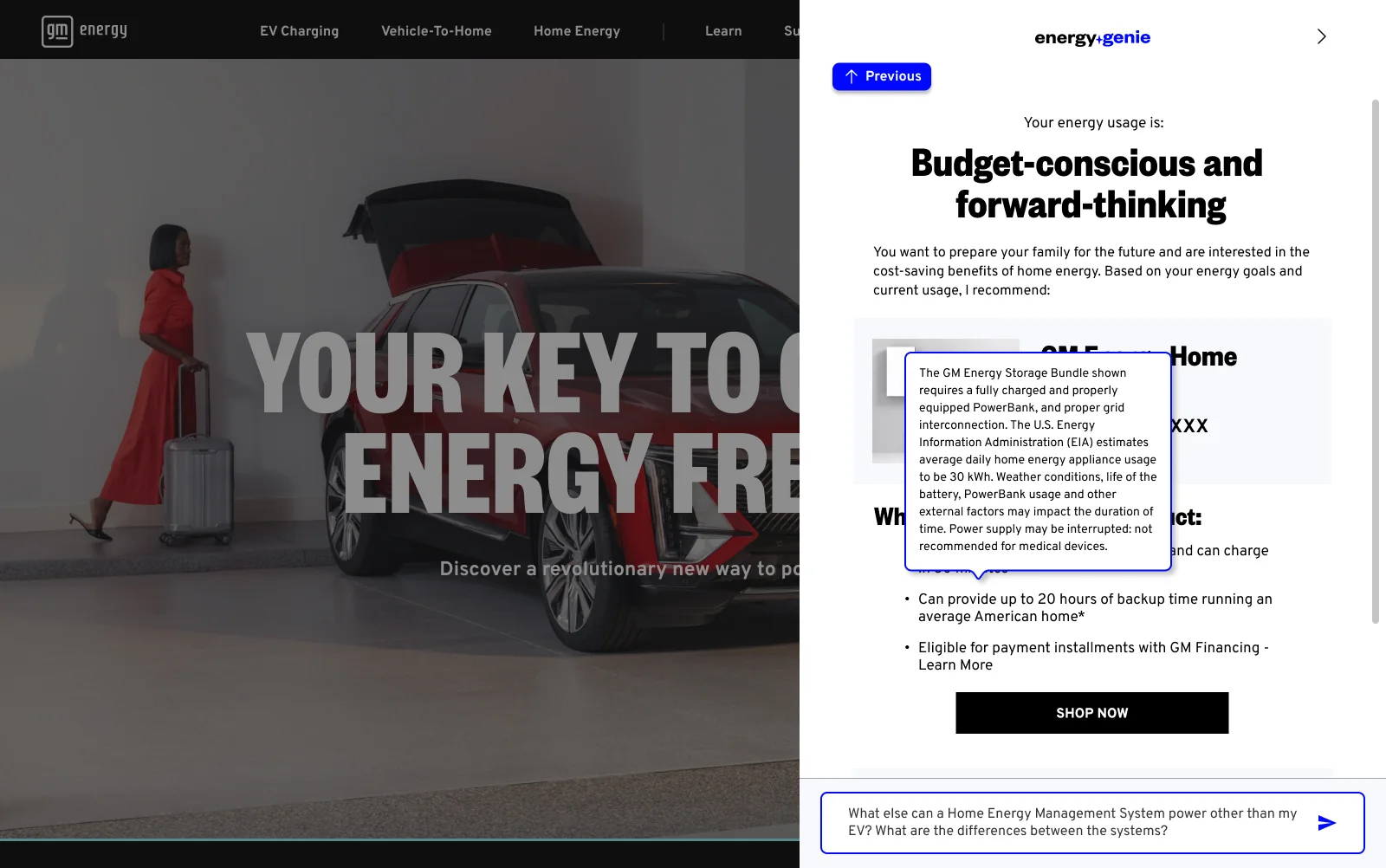 Genie 2.0 guided path — the recommendation, with the customer classified and the chat input still open